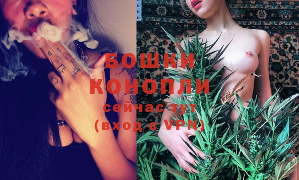 гашик Аркадак