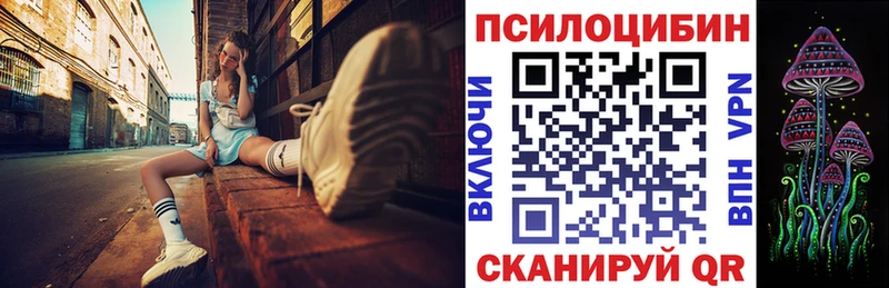 купить наркоту  Советская Гавань  Галлюциногенные грибы Cubensis 